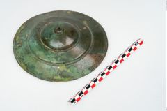 Foto von Bronzephalere (NHMW-PRAE-003458)